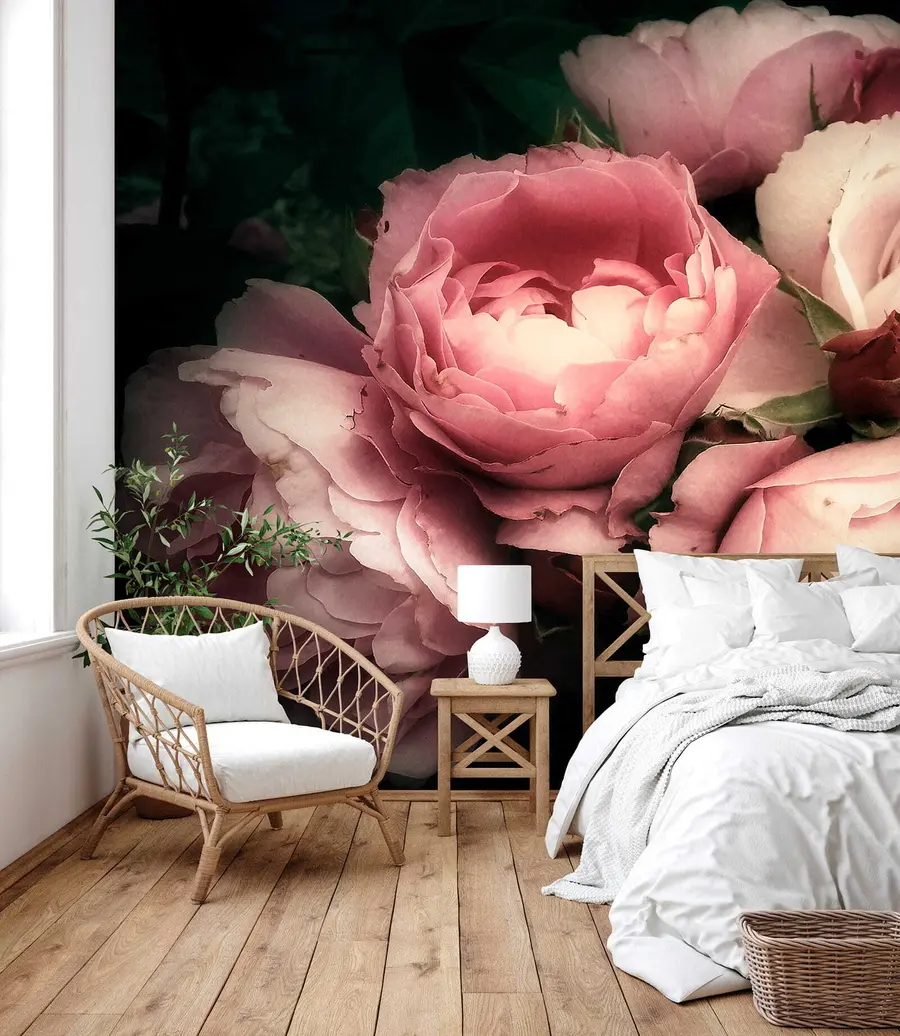 Fototapete Zarte rosa Pfingstrosen u08062