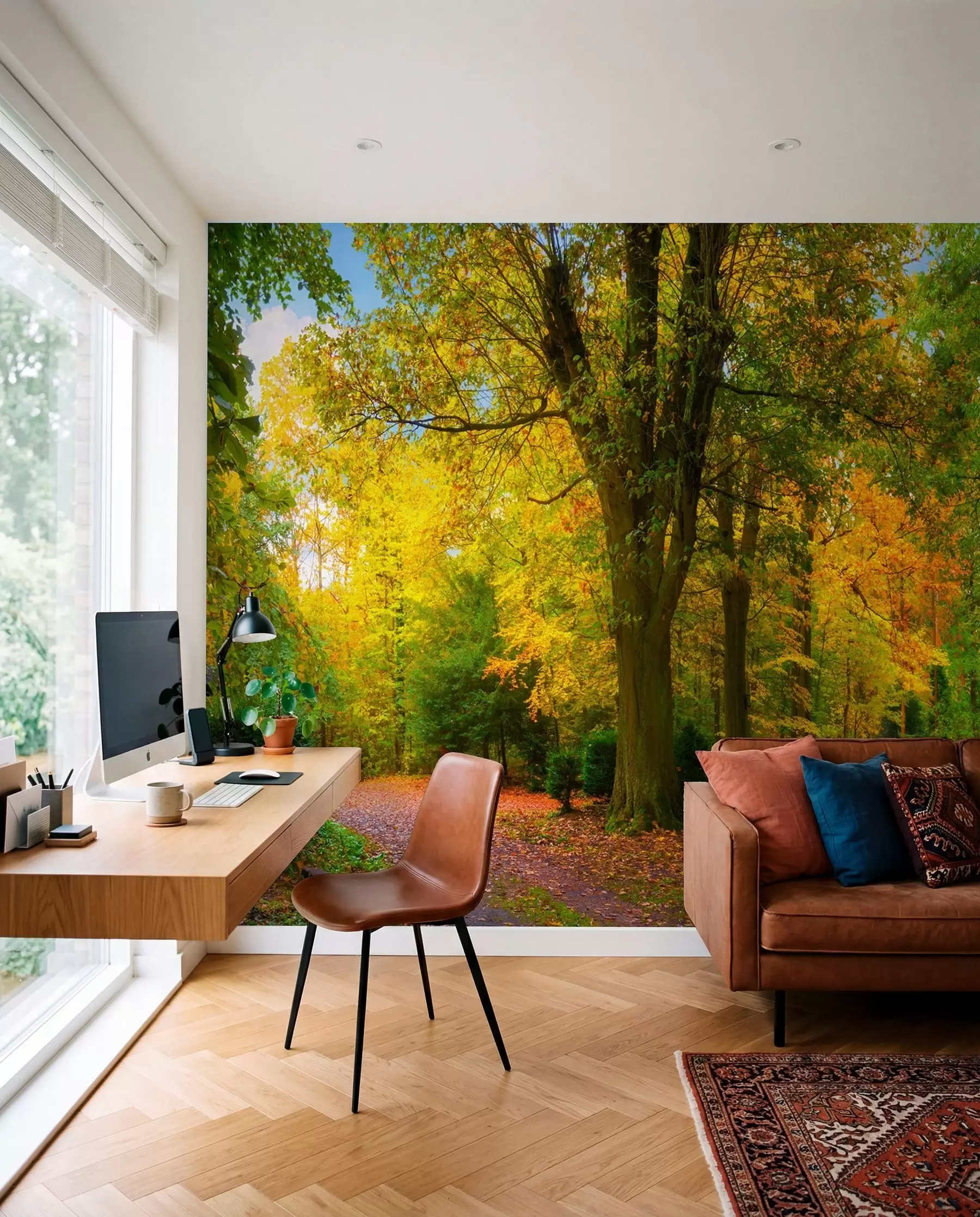 Fototapete Erstes Herbstgold u08547