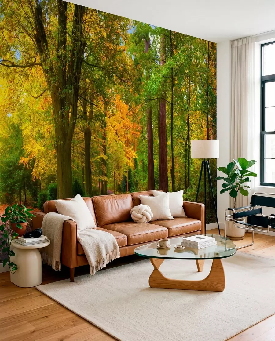 Fototapete Erstes Herbstgold u08547