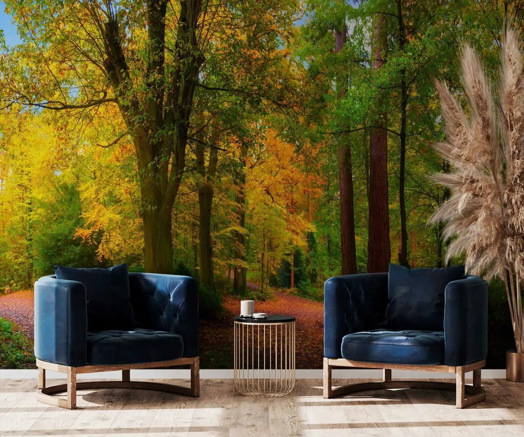 Fototapete Herbst Wald u08547