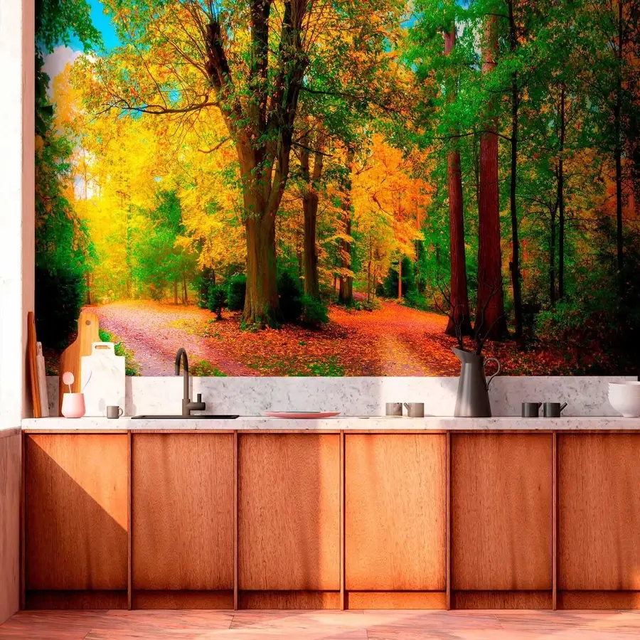 Fototapete Herbst Wald u08547