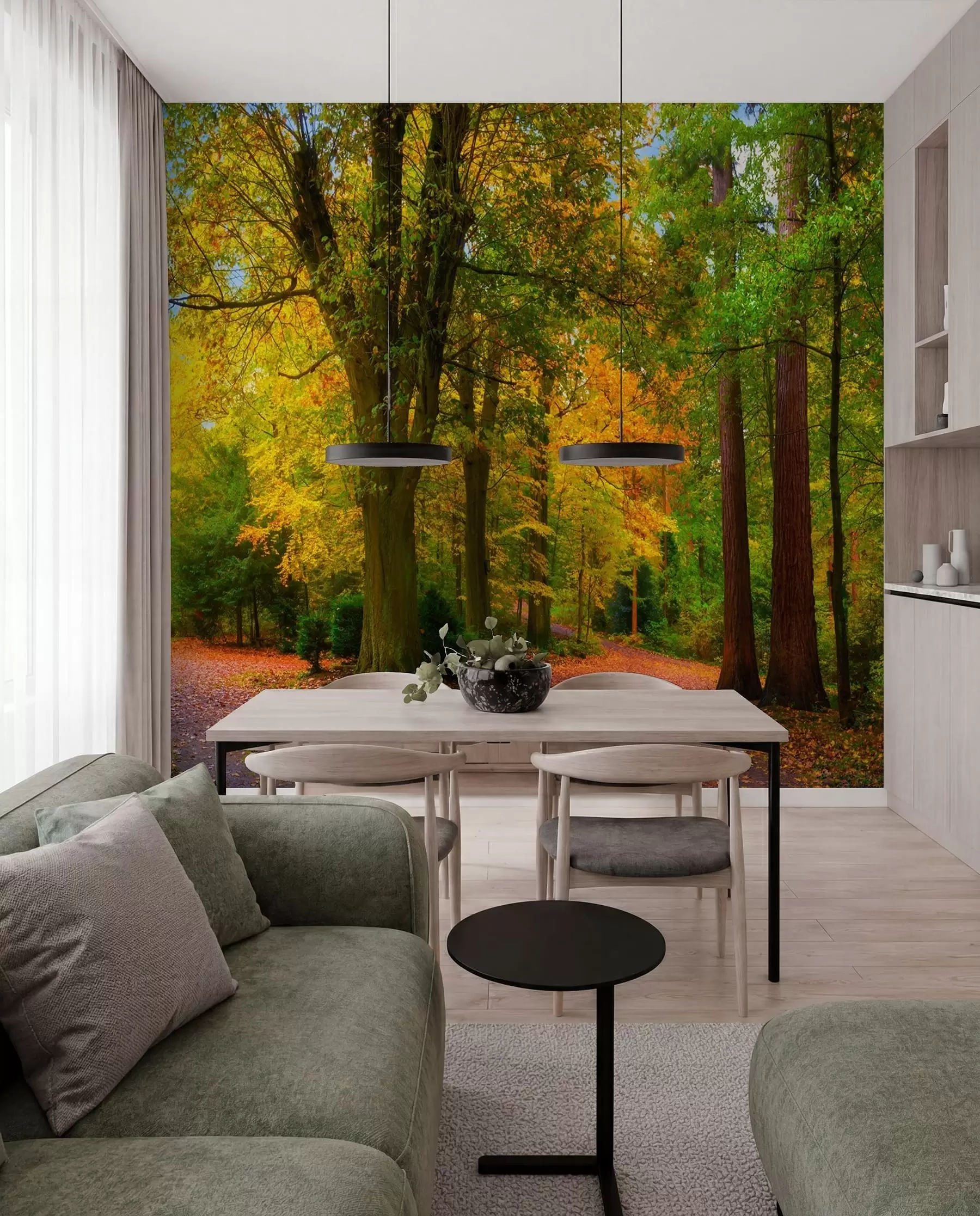 Fototapete Herbst Wald u08547
