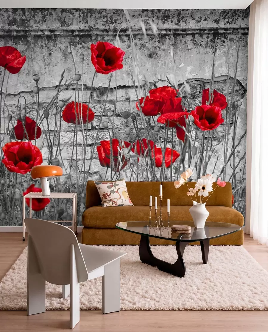 Fototapete Helle Mohnblumen auf dem Hintergrund der Wand u40552