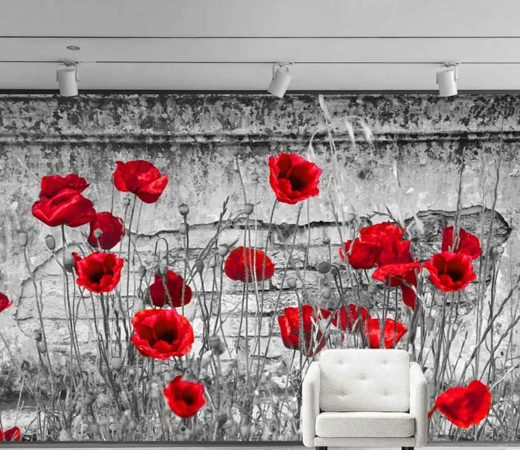 Fototapete Helle Mohnblumen auf dem Hintergrund der Wand u40552