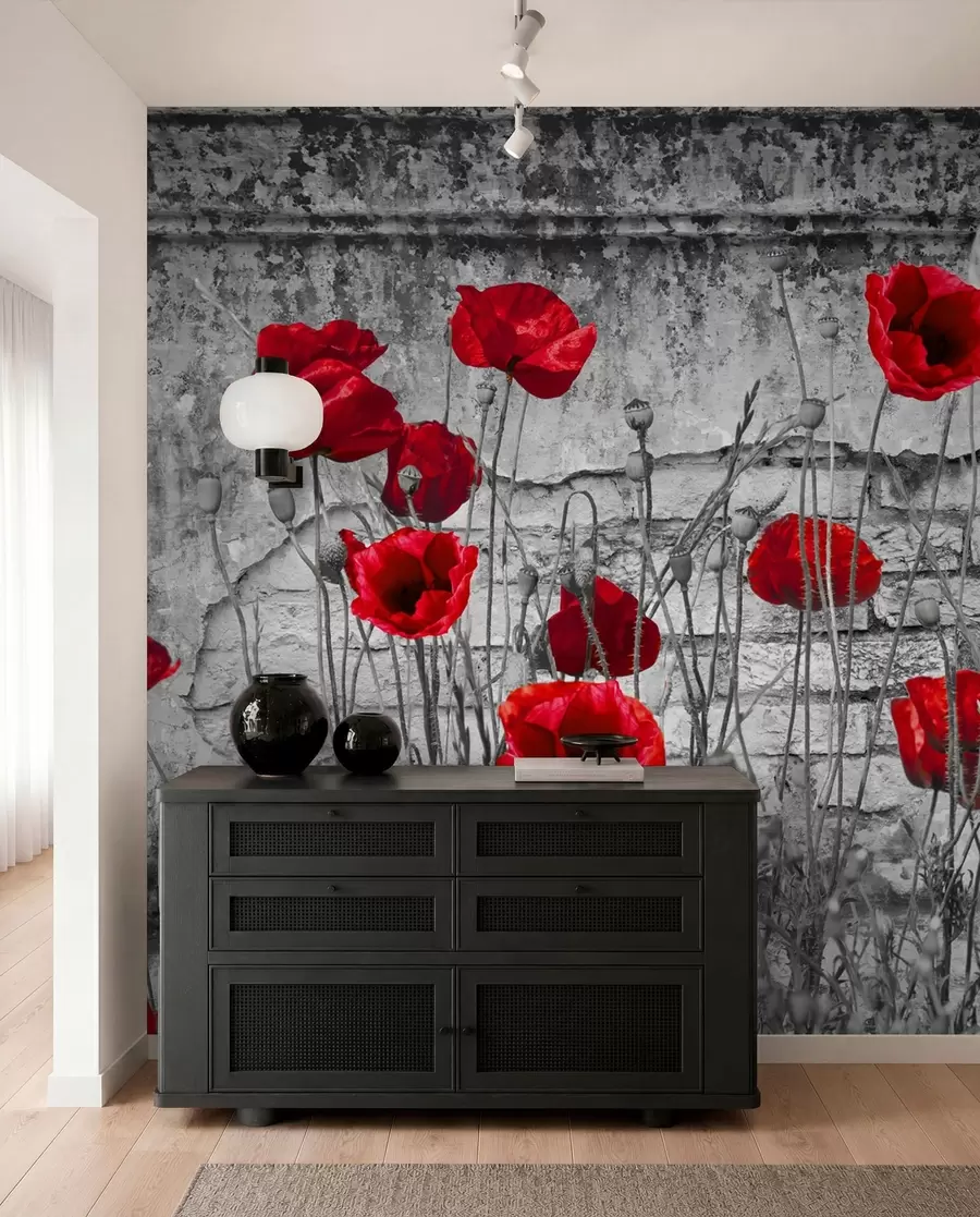 Fototapete Helle Mohnblumen auf dem Hintergrund der Wand u40552