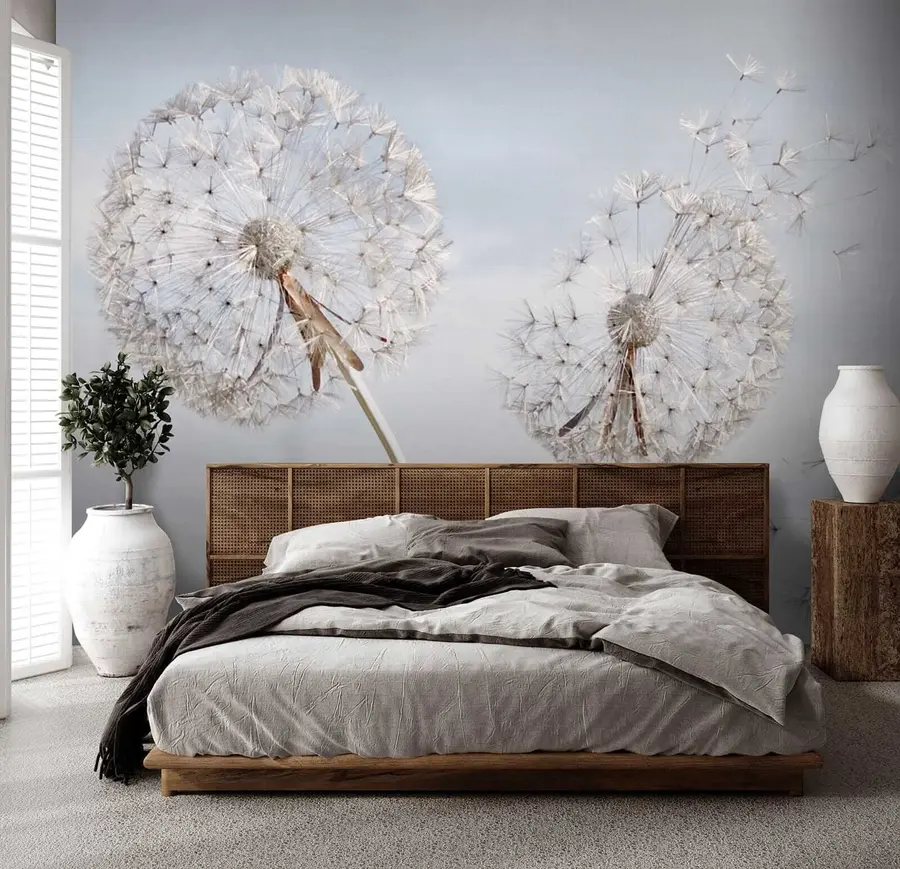 Fototapete Große Löwenzahn u44628