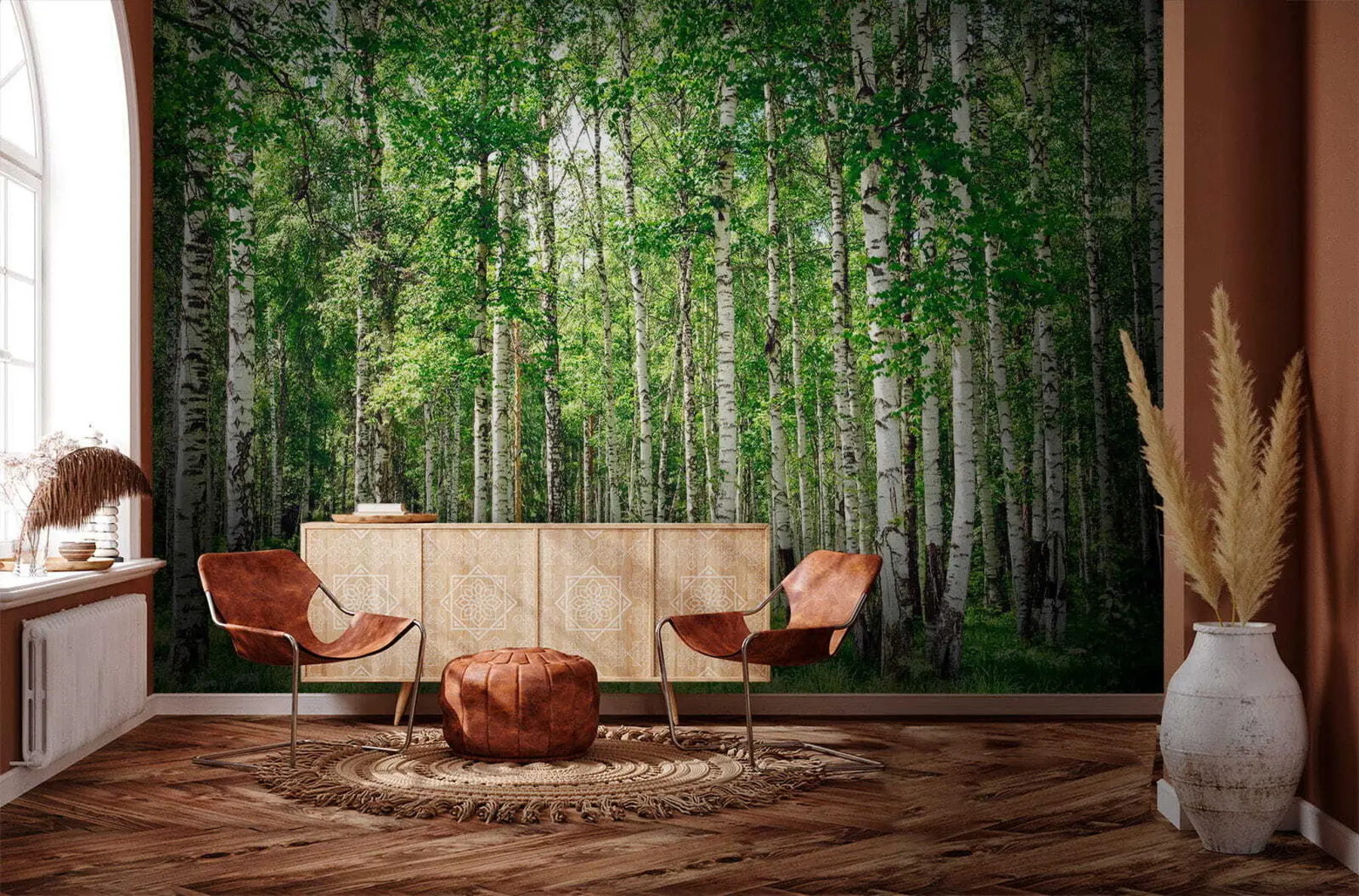 Fototapete Birkenwald u52530