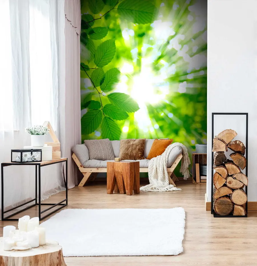 Fototapete Der Frühlingsanfang u54862