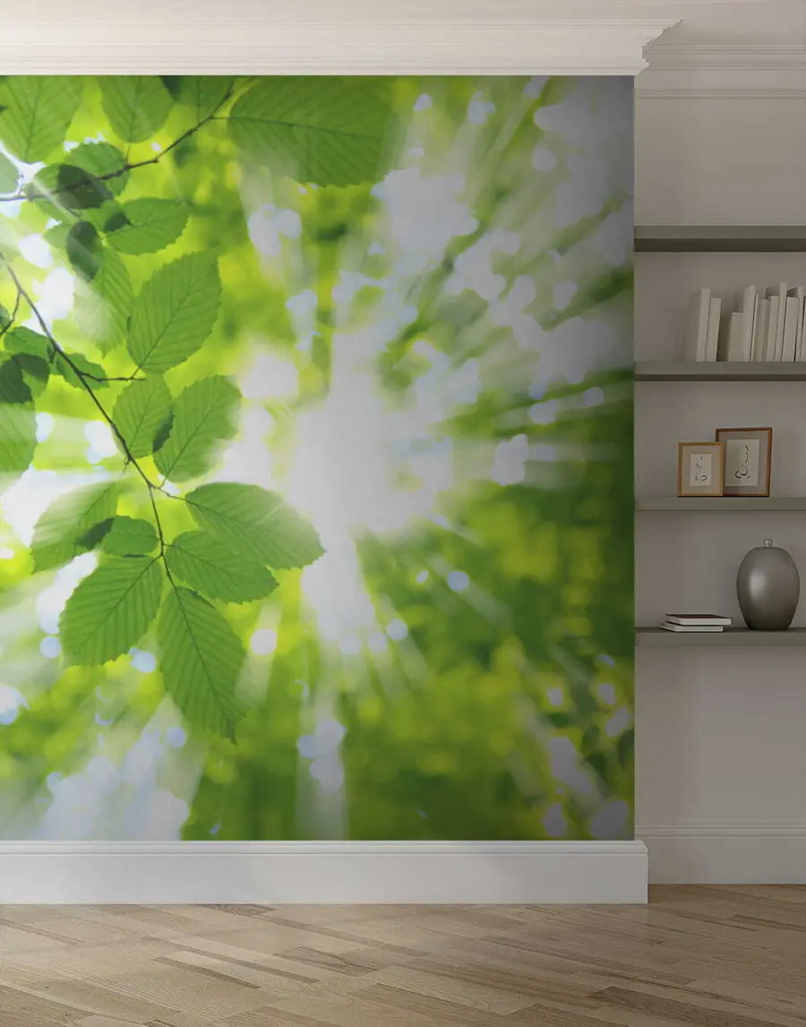 Fototapete Der Frühlingsanfang u54862