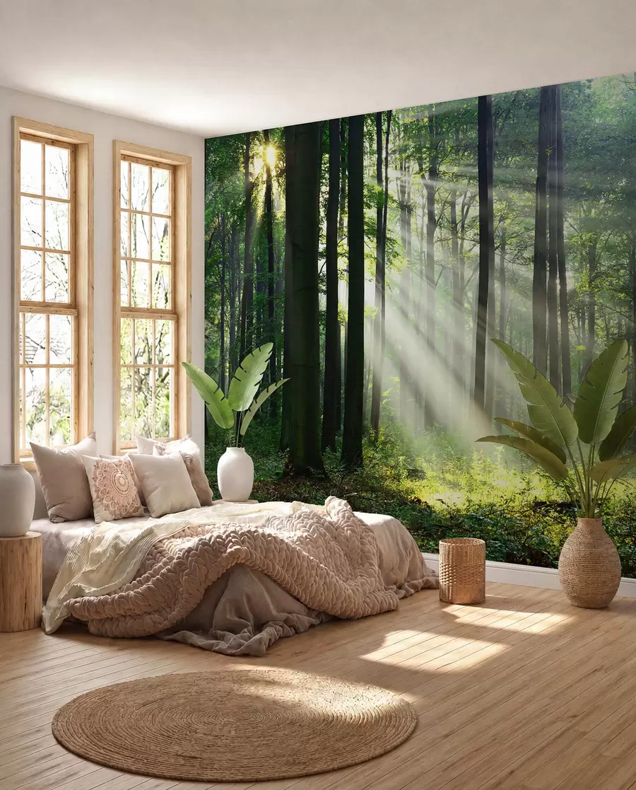 Fototapete Sonne zwischen Bäumen u56787