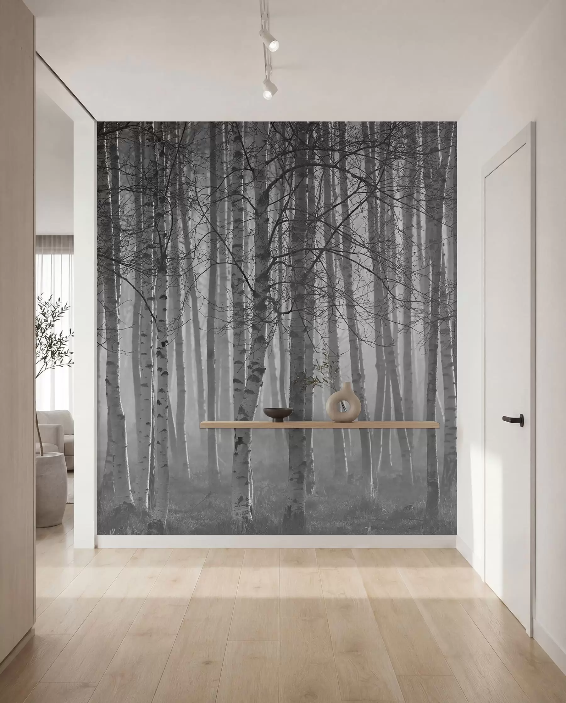 Fototapete Morgennebel im Birkenwald u58971