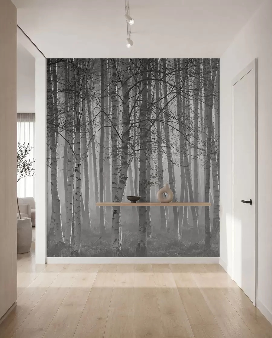 Fototapete Morgennebel im Birkenwald u58971
