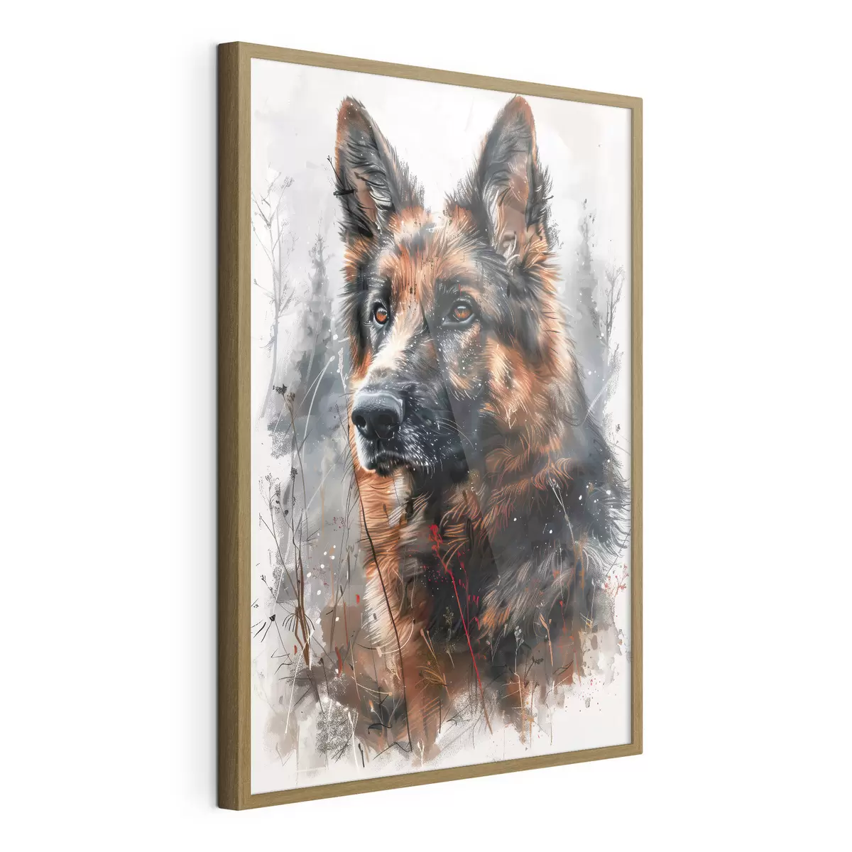 Poster Porträt eines Deutschen Schäferhundes f38995