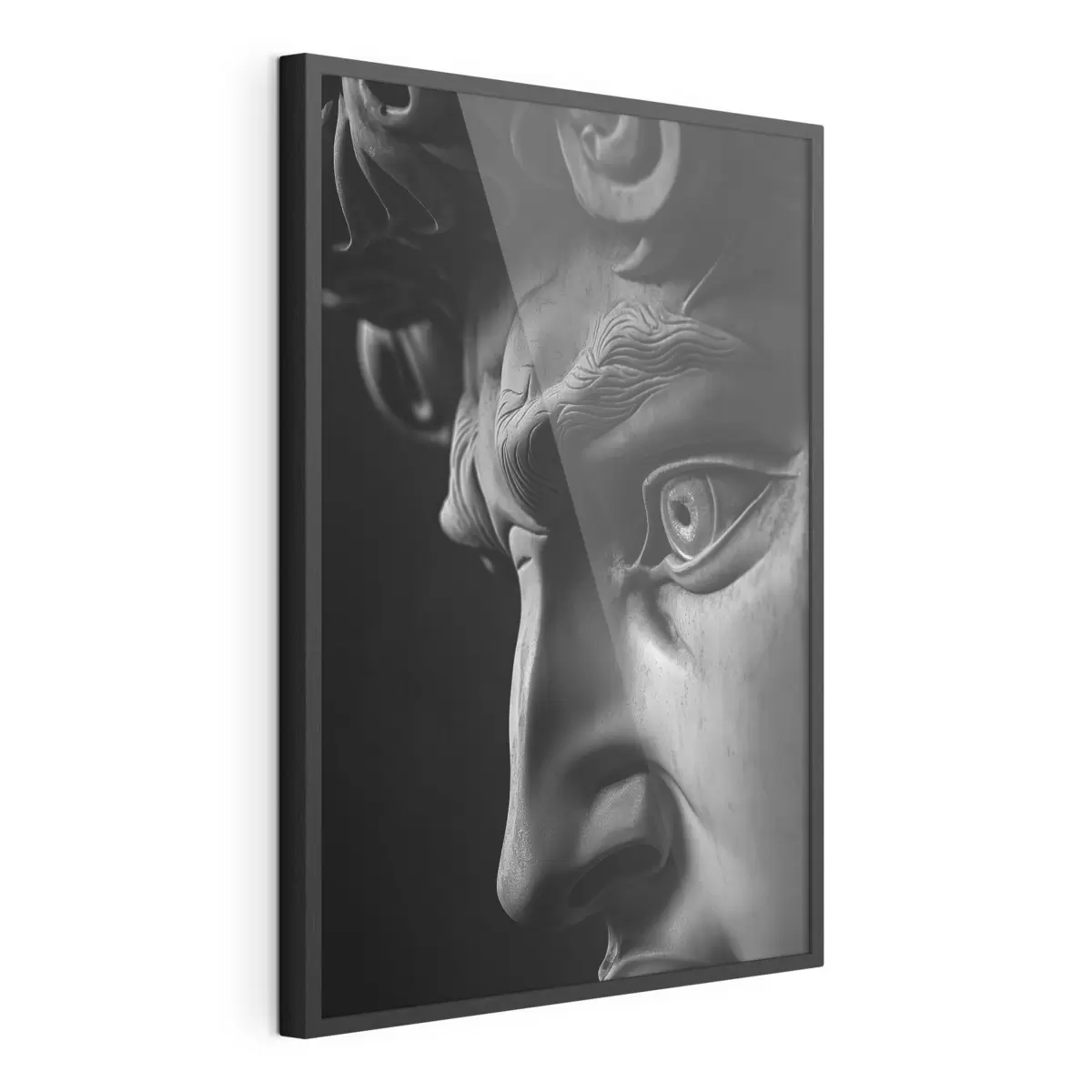 Poster Nahaufnahmeporträt von David im Profil f26124