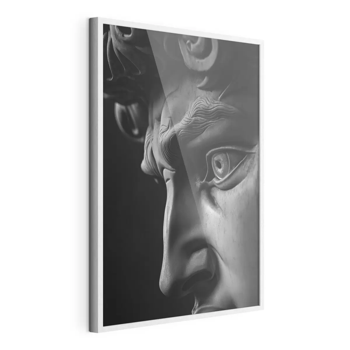 Poster Nahaufnahmeporträt von David im Profil f26124