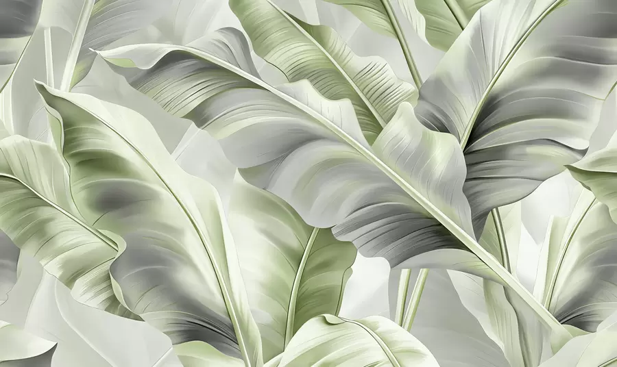 Fototapete luxuriöse große Bananenblätter in graugrünen Tönen w07876v3