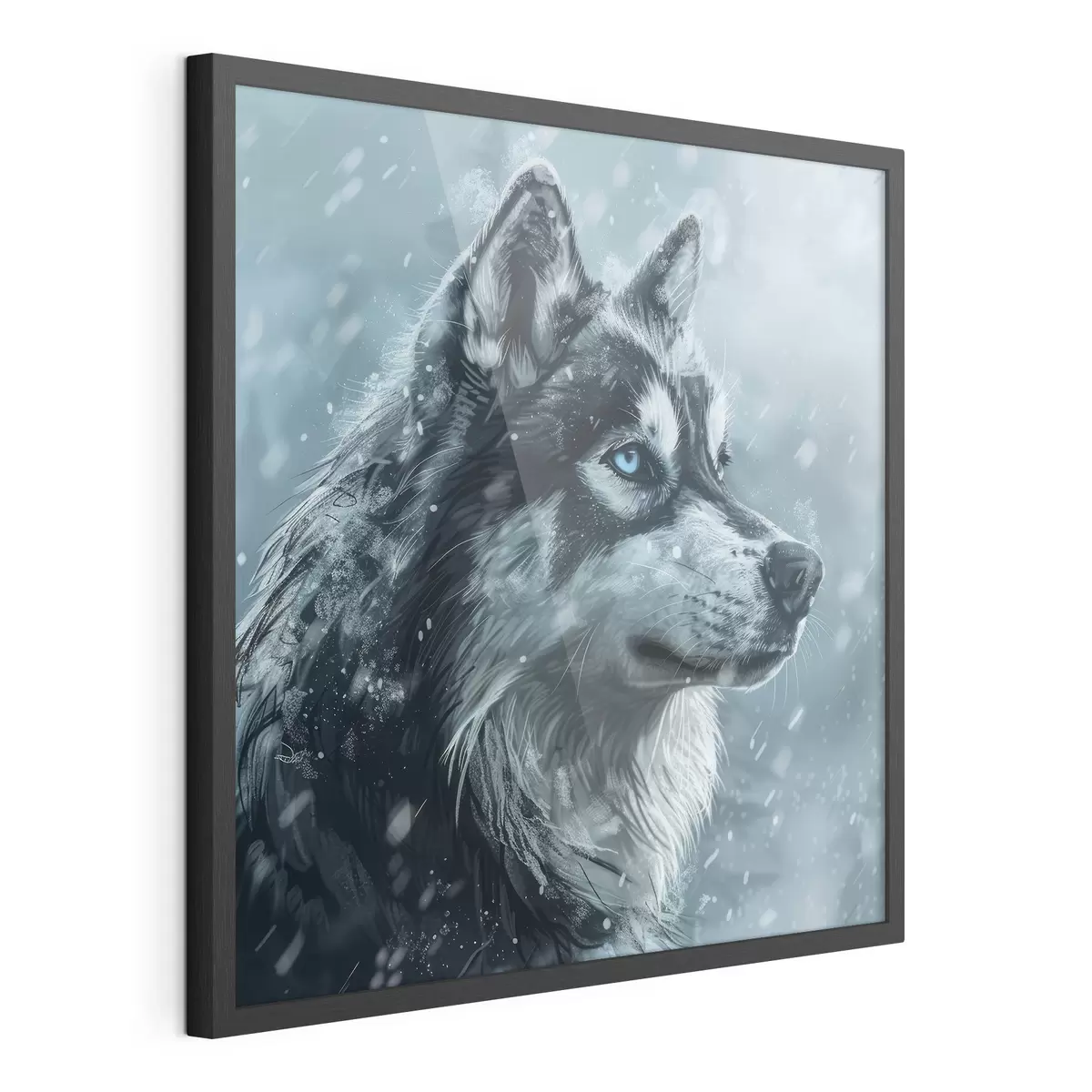 Poster Husky mit blauen Augen auf einem winterblauen Hintergrund f39462