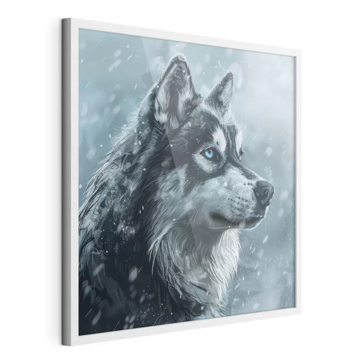 Poster Husky mit blauen Augen auf einem winterblauen Hintergrund f39462