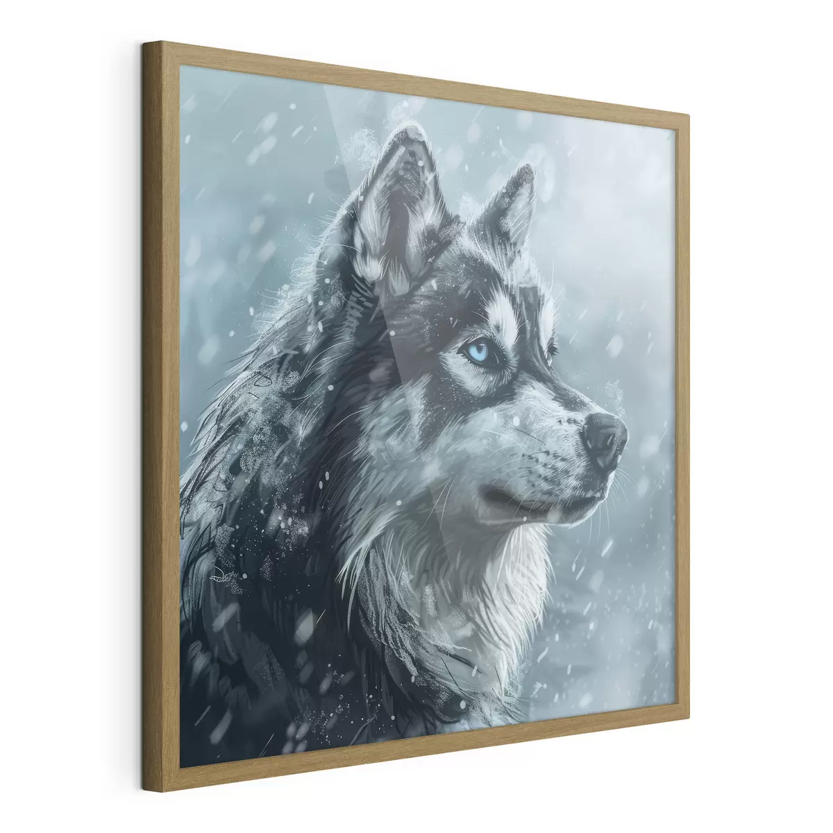 Poster Husky mit blauen Augen auf einem winterblauen Hintergrund f39462