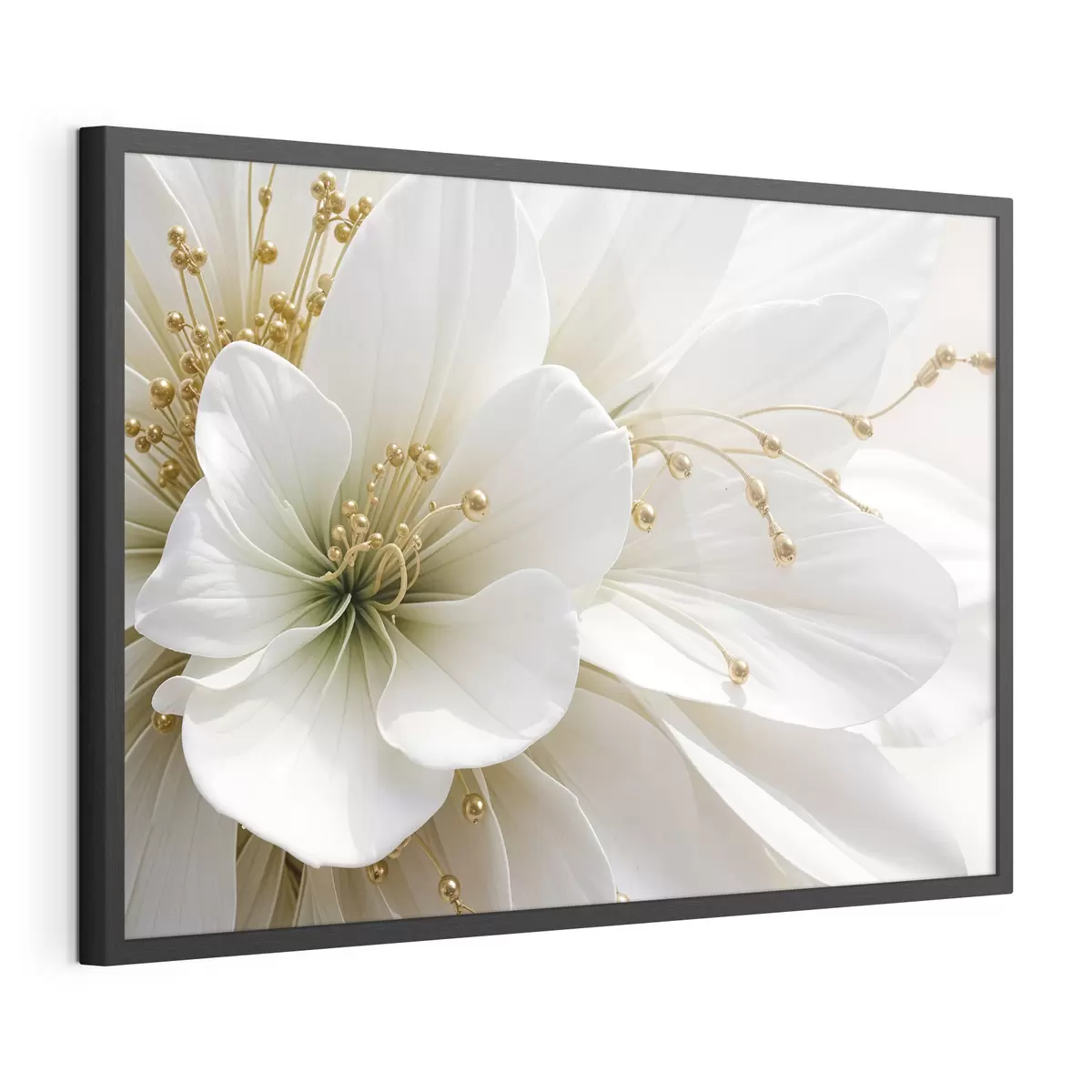 Poster Eine Nahaufnahme einer großen weißen Blume mit zarten Blütenblättern f39507