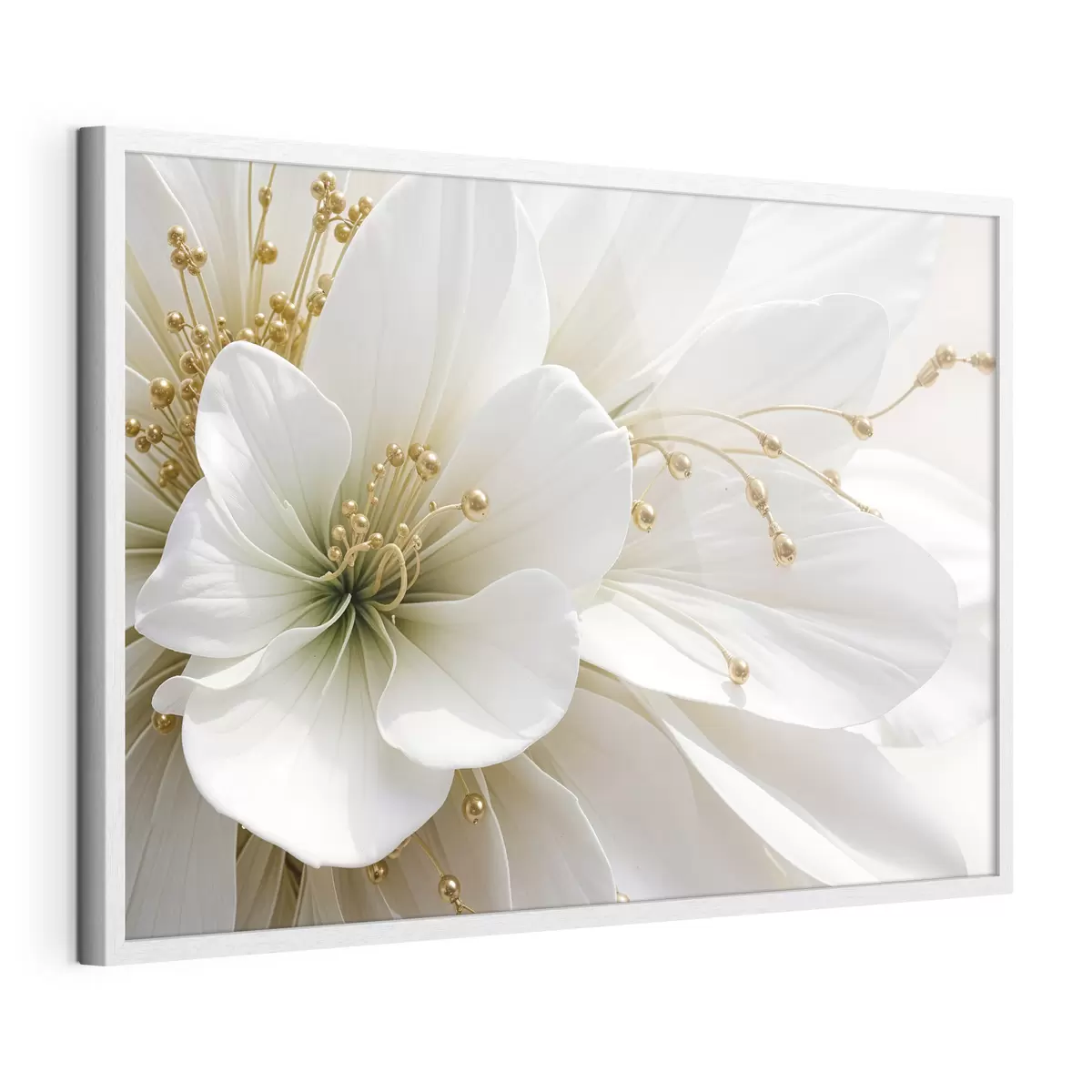 Poster Eine Nahaufnahme einer großen weißen Blume mit zarten Blütenblättern f39507