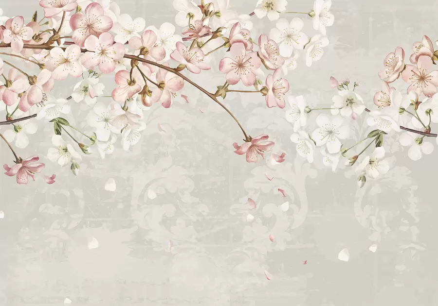 Fototapete Rosa und weiße Kirschblüten in voller Blüte, mit weichen Blütenblättern, die auf einen strukturierten beigen Hintergrund fallen w08254v1