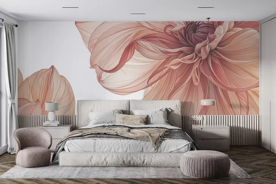 Fototapete Nahaufnahme mehrerer großer, leuchtend roter Dahlienblüten mit weichen, zarten Blütenblättern vor weißem Hintergrund w08257