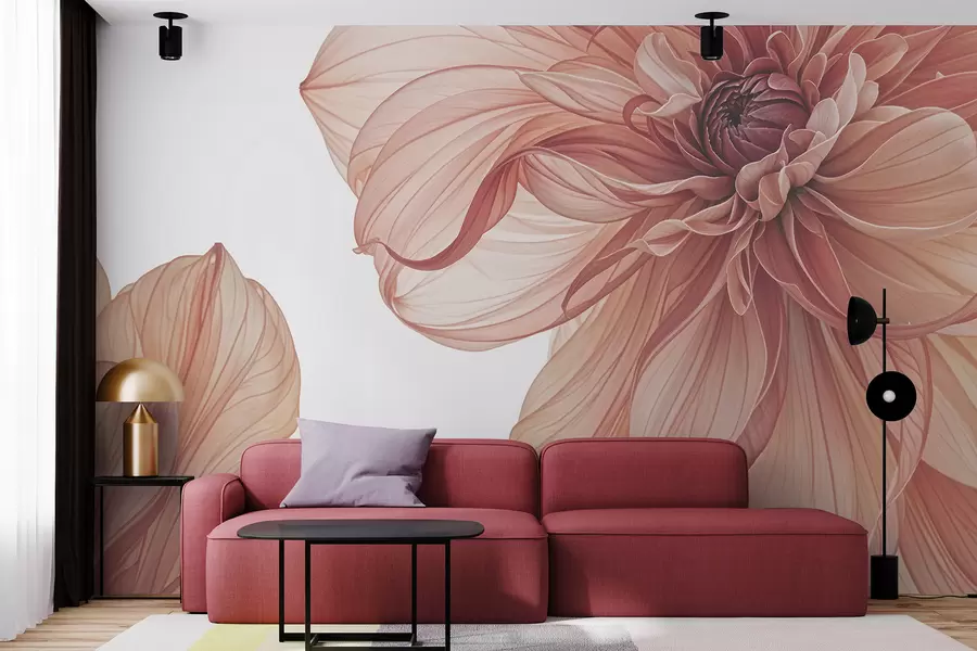 Fototapete Nahaufnahme mehrerer großer, leuchtend roter Dahlienblüten mit weichen, zarten Blütenblättern vor weißem Hintergrund w08257