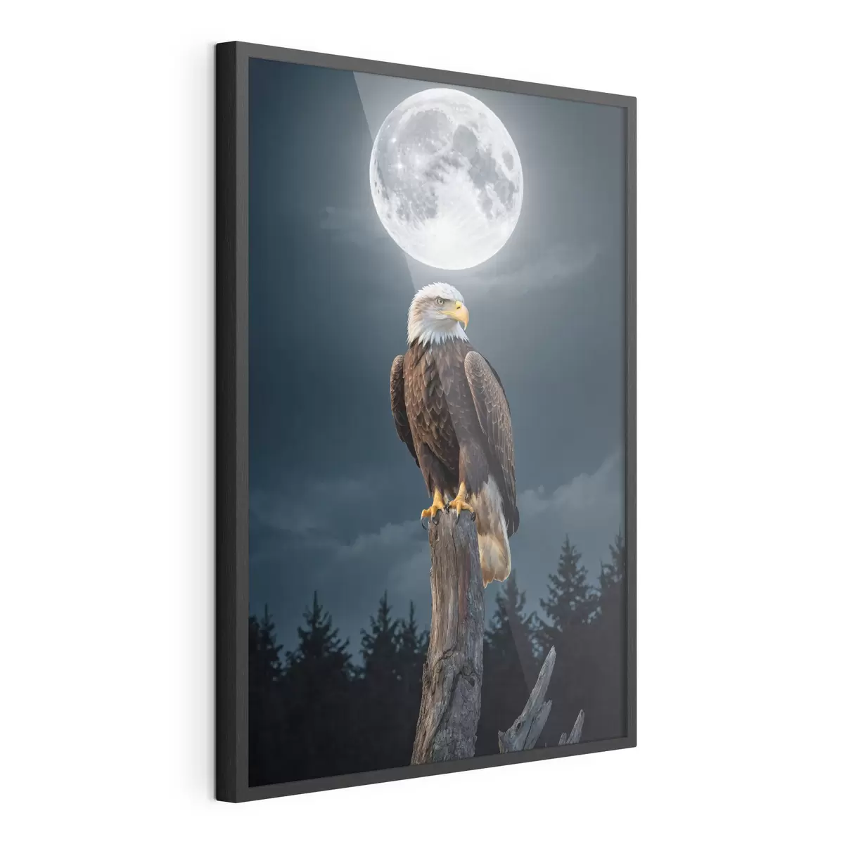 Poster Adler auf Mondhintergrund f41043