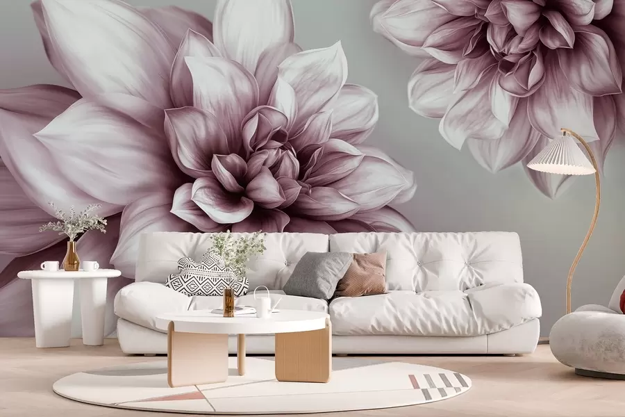 Fototapete Voluminöse Blüten mit vielen Blütenblättern, die in verschiedenen Rosatönen gehalten sind w01937v1