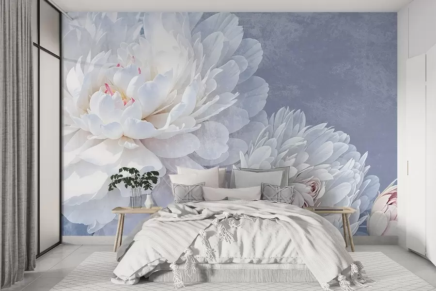 Fototapete Weiße, detaillierte Pfingstrosenblüten mit weichen, zarten Blütenblättern vor einem leicht pastellblauen, strukturierten Hintergrund w08379