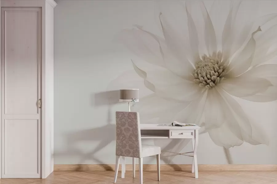 Fototapete Zarte beige Blume auf hellem Hintergrund w02077v1