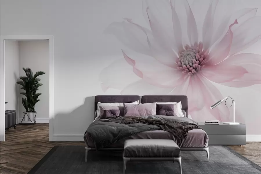 Fototapete Zarte rosa Blume auf hellem Hintergrund w02077v2
