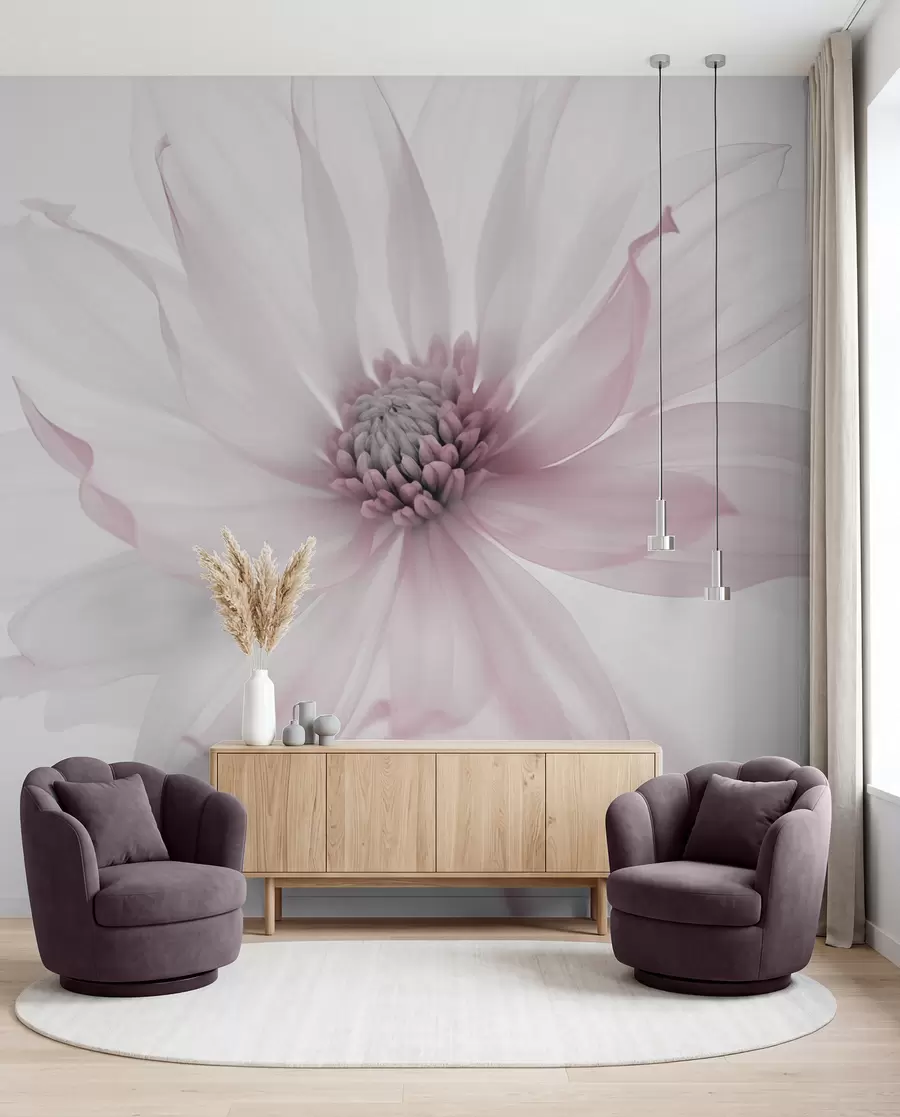 Fototapete Zarte rosa Blume auf hellem Hintergrund w02077v2