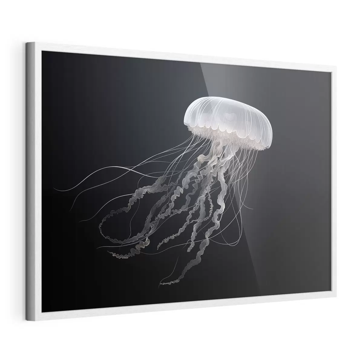 Poster Magische Qualle auf dunklem Hintergrund f41606