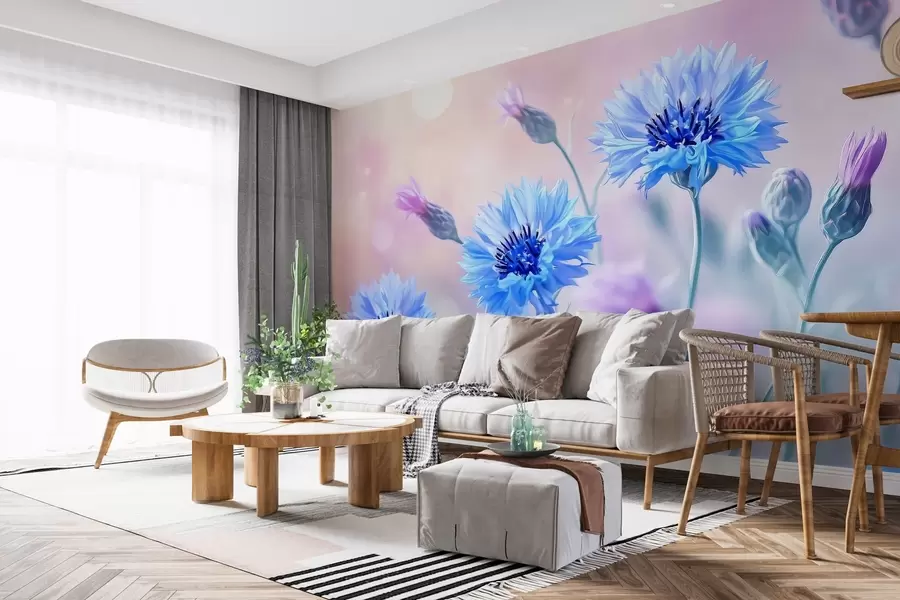 Fototapete Große Kornblumenblüten auf blassrosa Hintergrund w02124