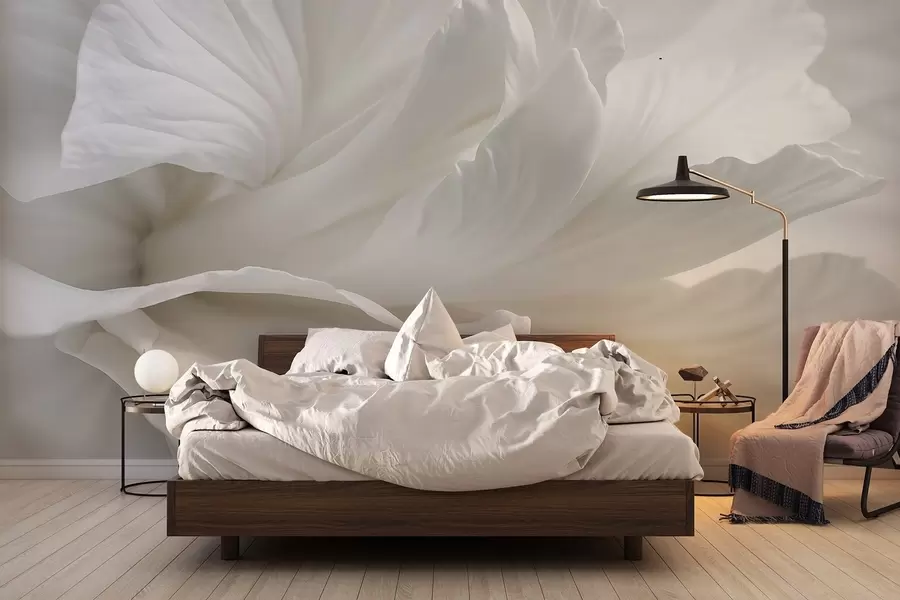 Fototapete Abstrakter minimalistischer Druck einer zarten weißen Blume mit weichen, samtigen Blütenblättern w08424