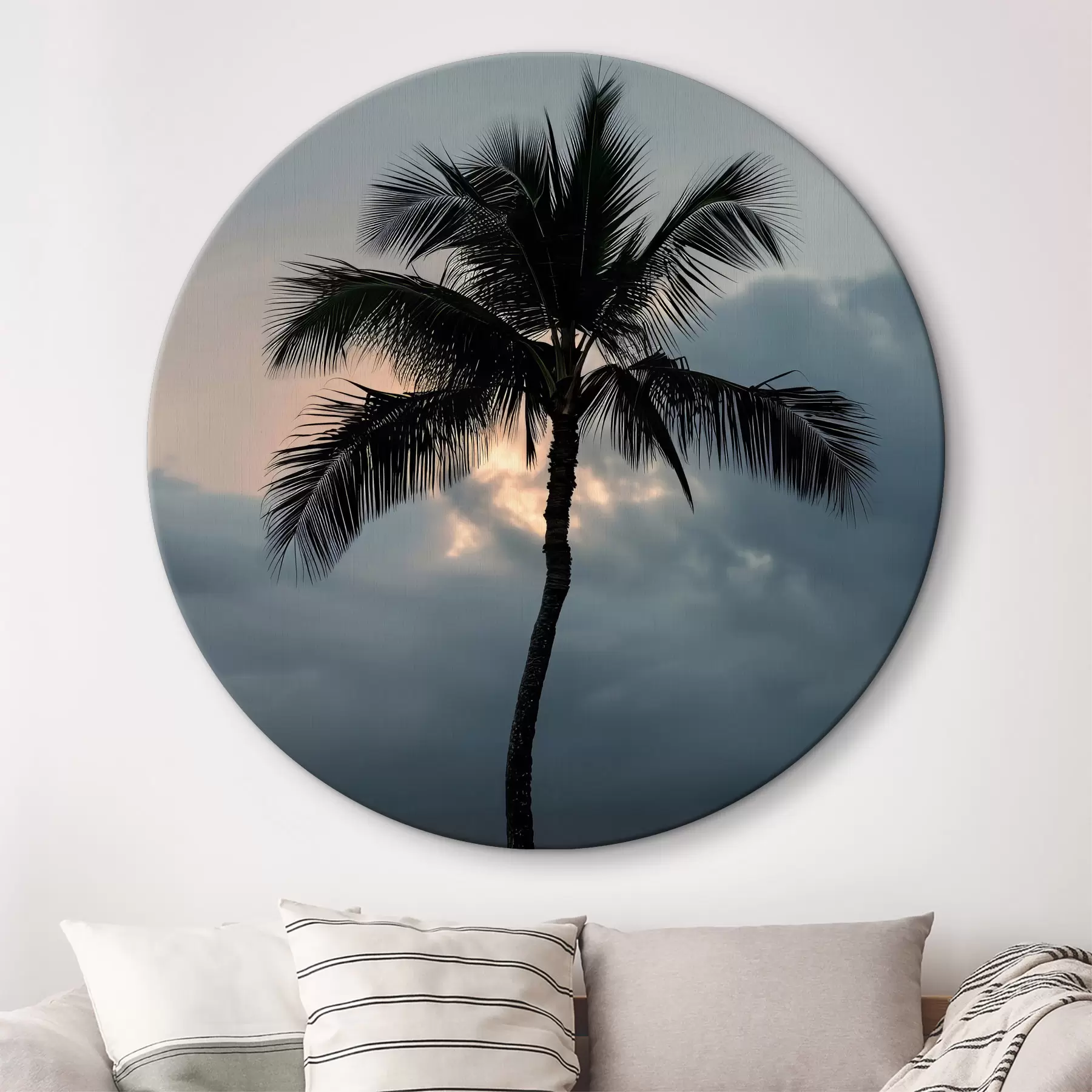 Fototapete Palme r38877