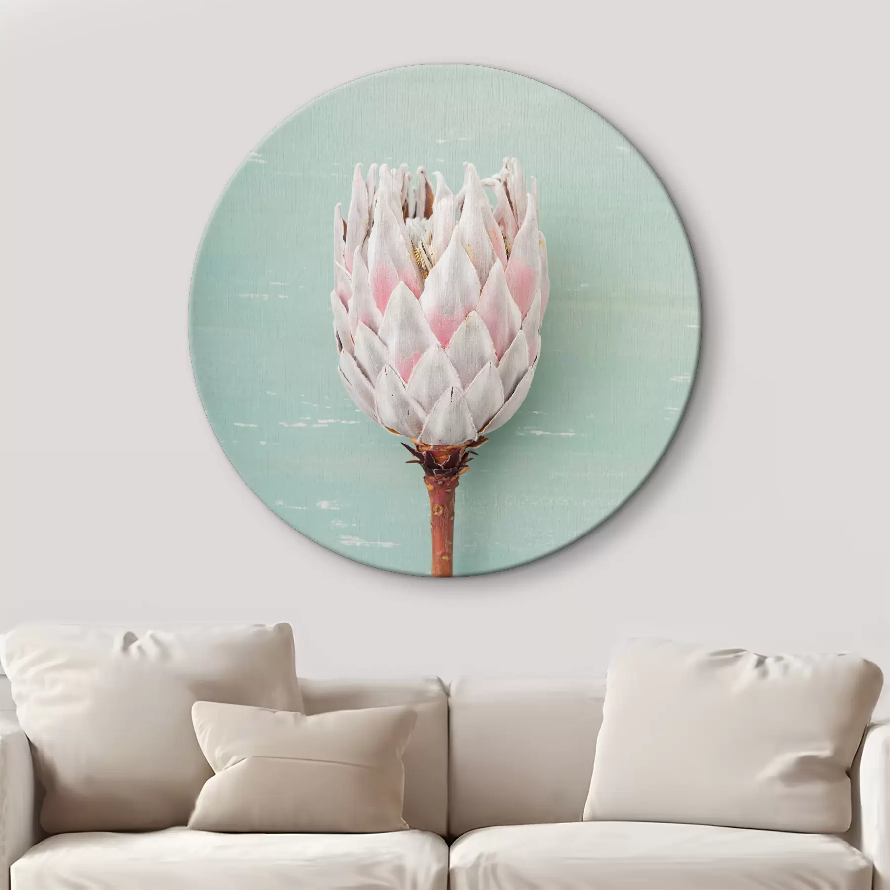 Fototapete Weiße Protea r36695