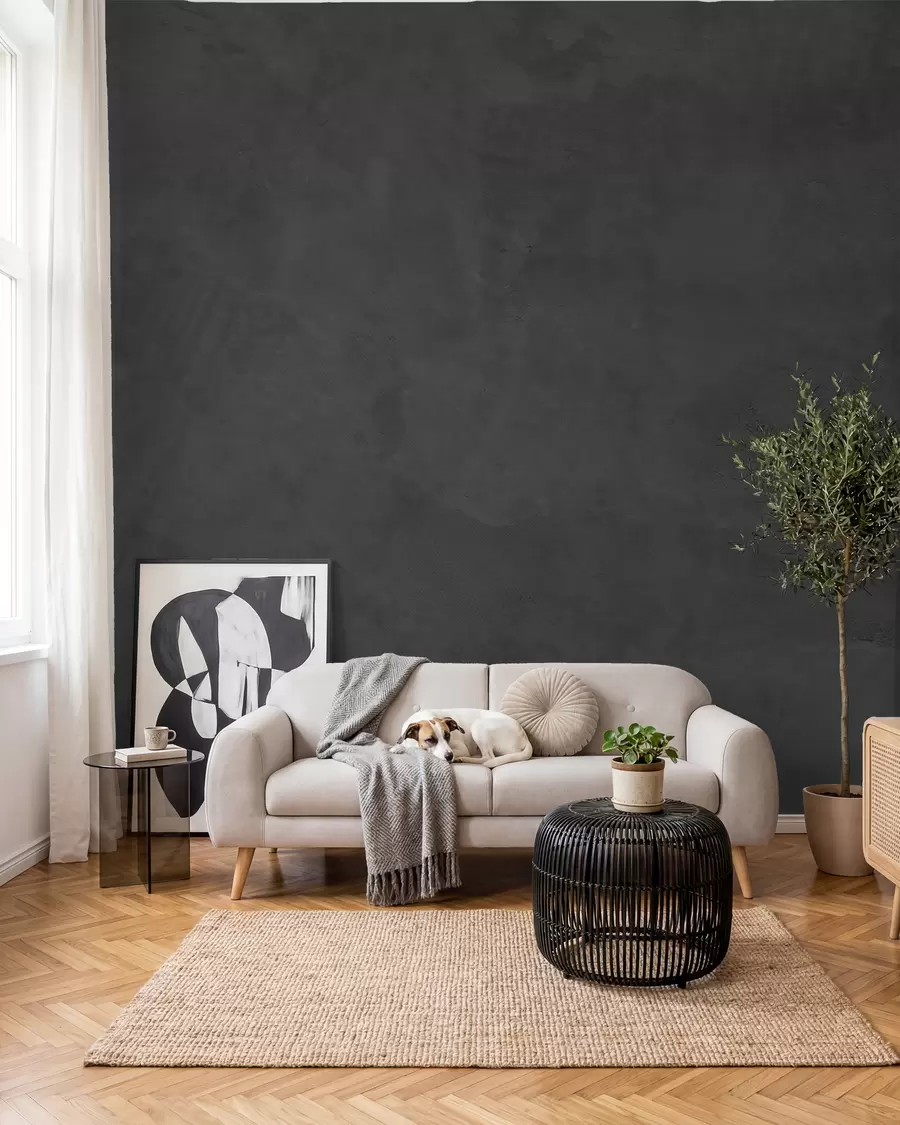 Fototapete Beton in Anthrazit w02553