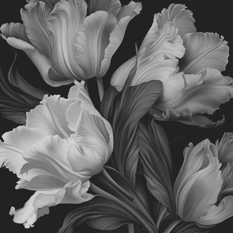 Fototapete Schwarze und weiße Tulpen im fotorealistischen Stil w02557