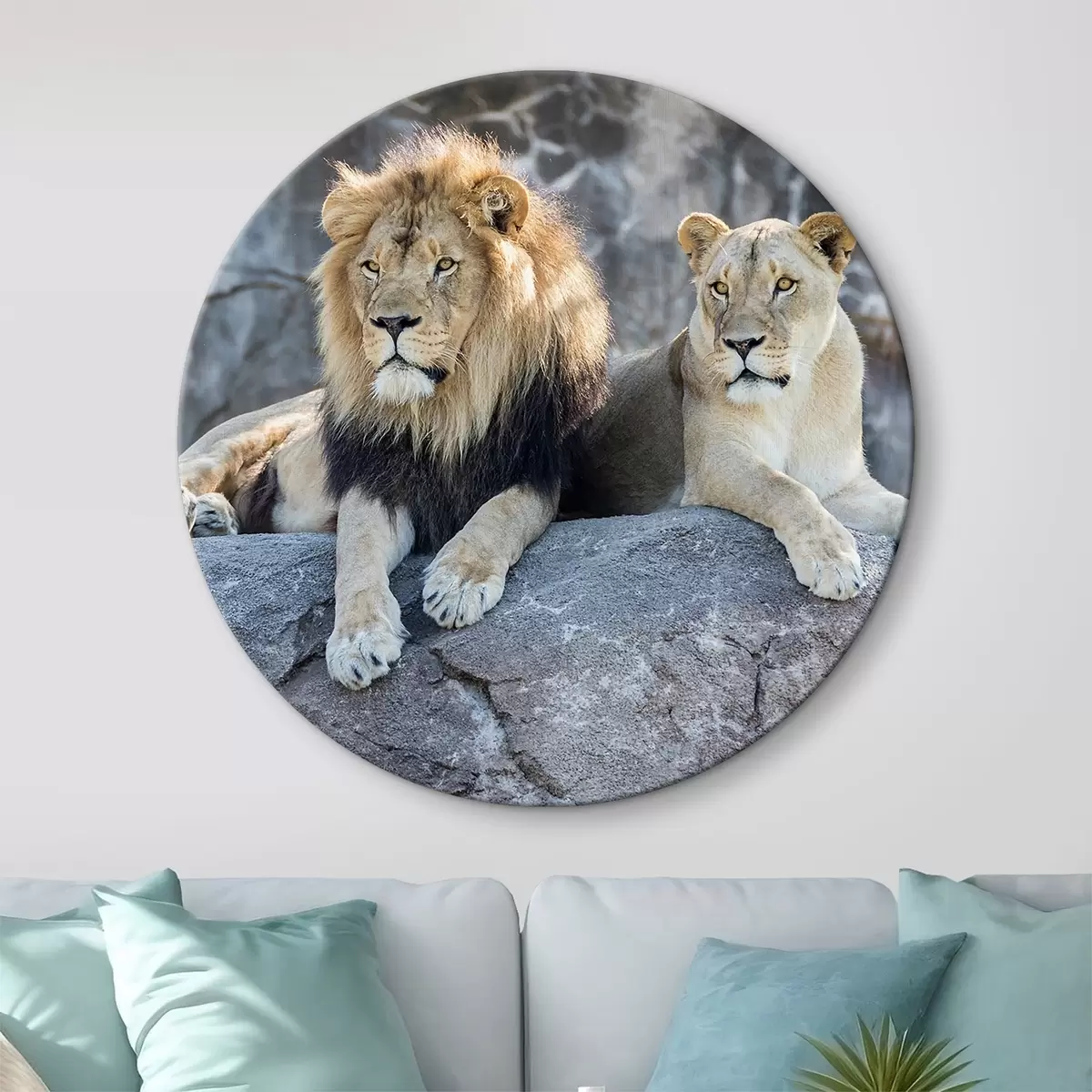 Runde Wandbilder Löwe, Katze und Fleischfresser r15278