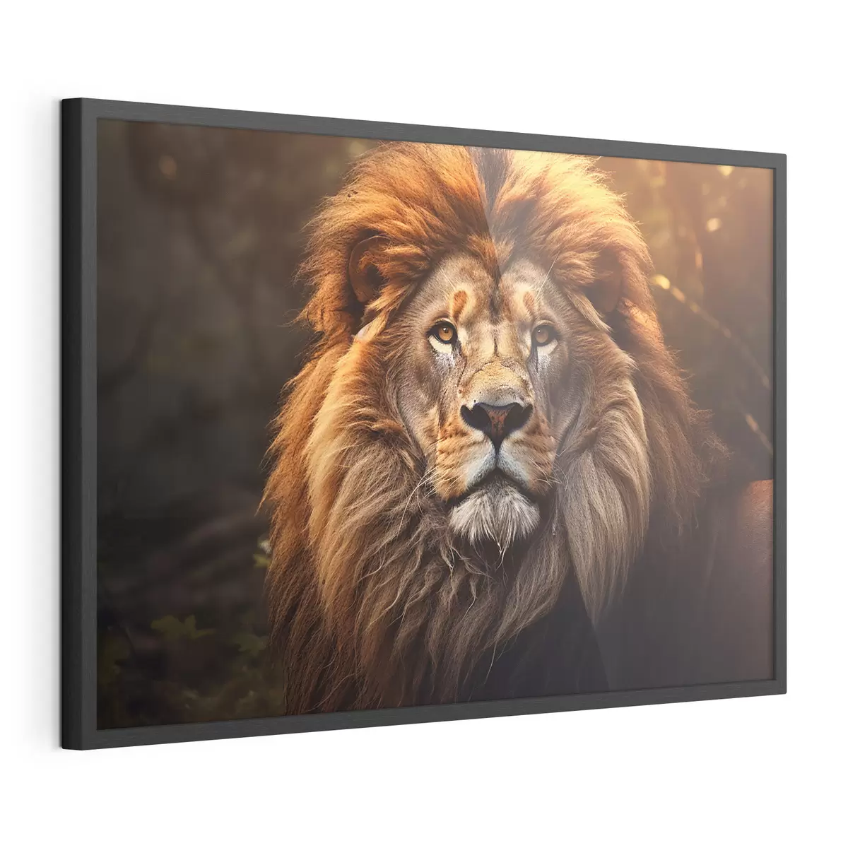 Poster Wunderschöner Löwe f42390