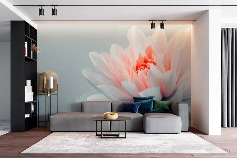 Fototapete Große Blume auf grauem Hintergrund  w02906