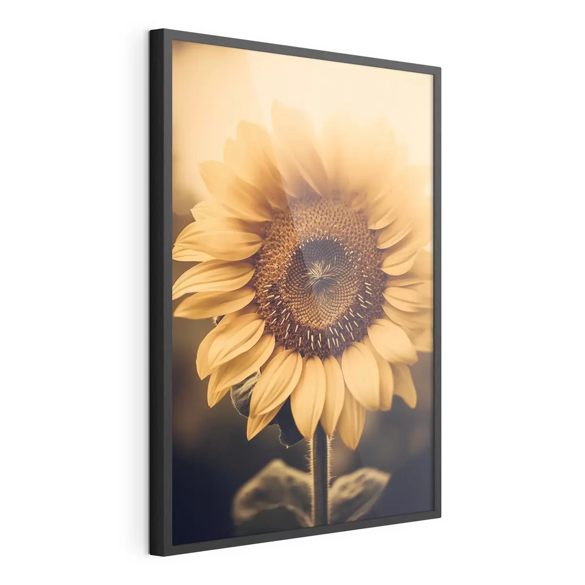 Poster Sonnenblume f43012