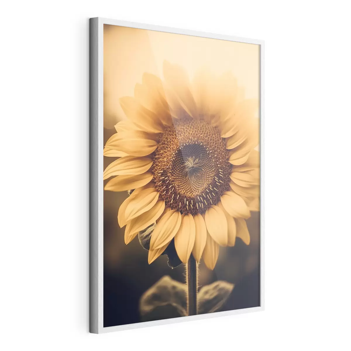 Poster Sonnenblume f43012