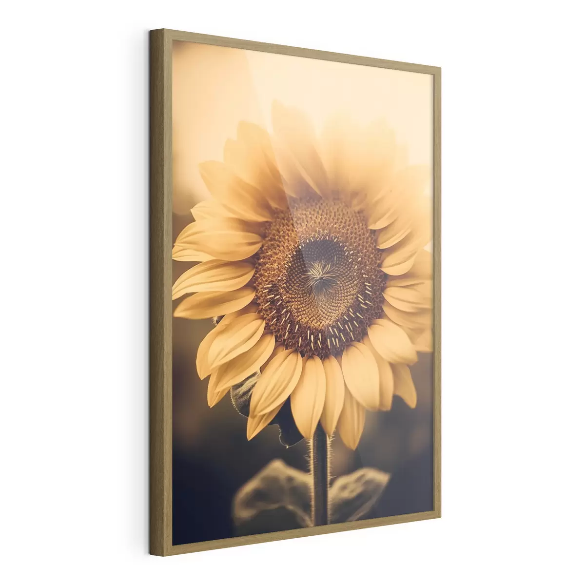 Poster Sonnenblume f43012