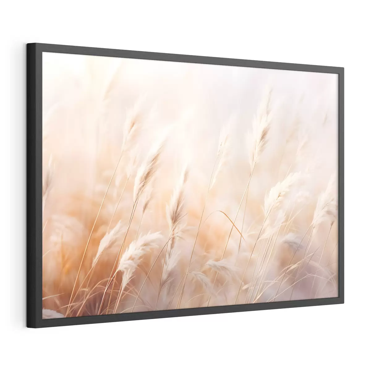 Poster Pampasgras mit einem weichen, diffusen Licht, wodurch eine warme, der Hintergrund ist eine Mischung aus Pastellfarben f43157