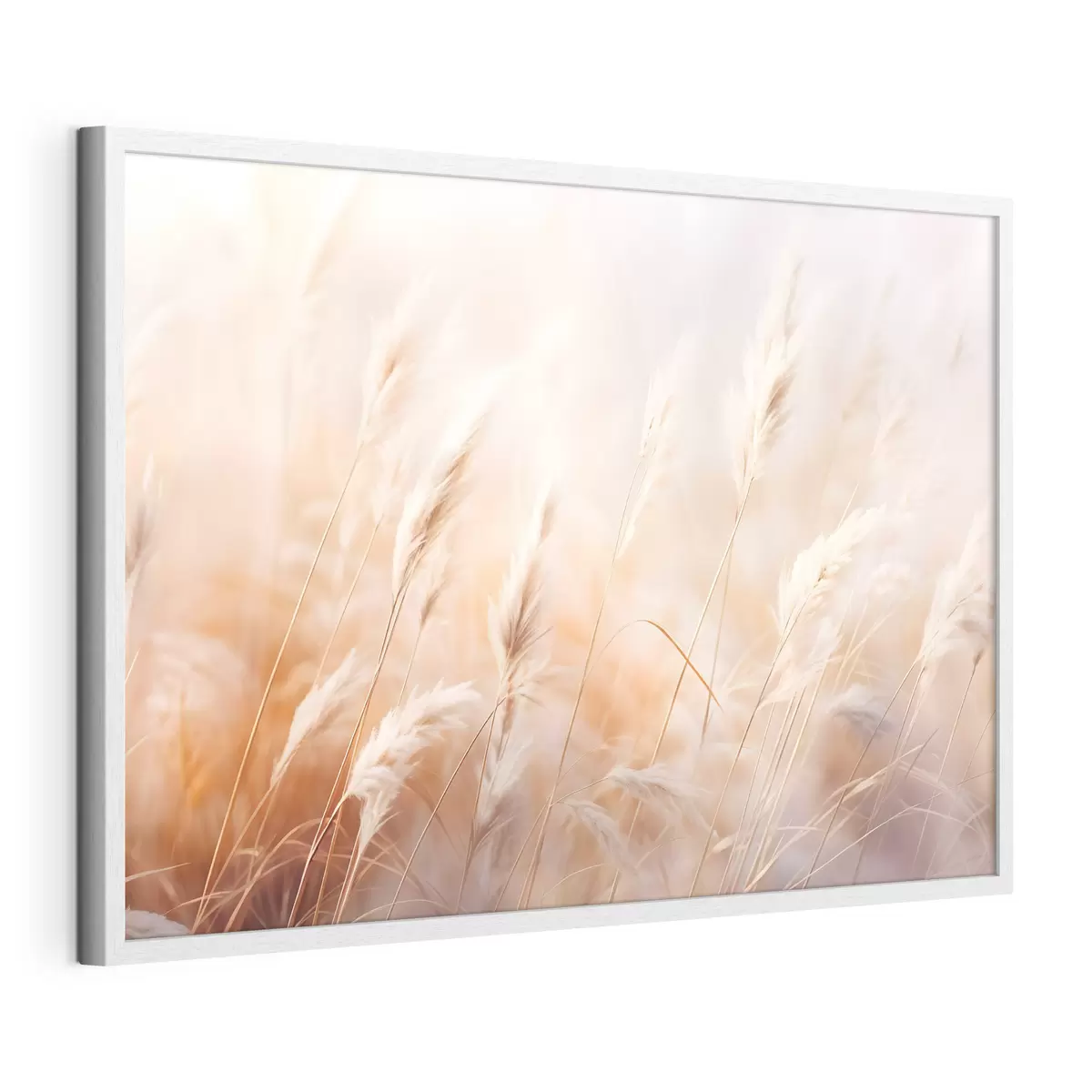 Poster Pampasgras mit einem weichen, diffusen Licht, wodurch eine warme, der Hintergrund ist eine Mischung aus Pastellfarben f43157