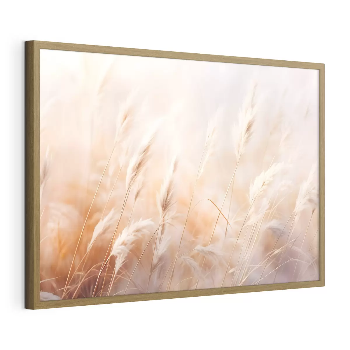 Poster Pampasgras mit einem weichen, diffusen Licht, wodurch eine warme, der Hintergrund ist eine Mischung aus Pastellfarben f43157
